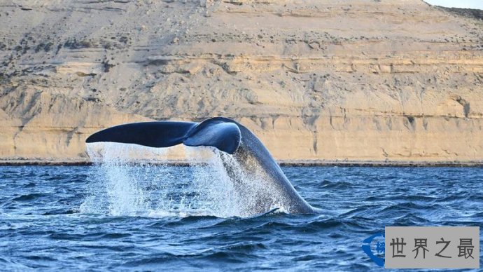 世界最美的景区被阿根廷承包了