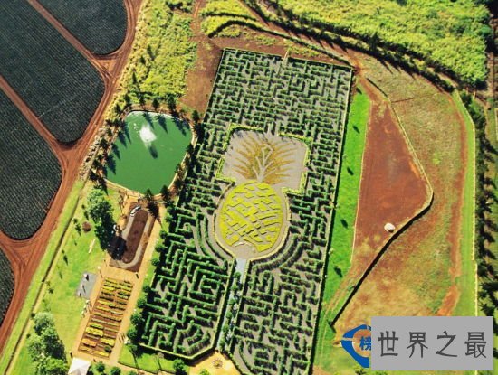 全球十大最梦幻花园迷宫排行榜