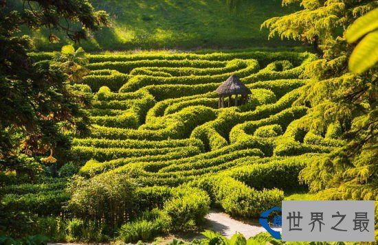 全球十大最梦幻花园迷宫排行榜