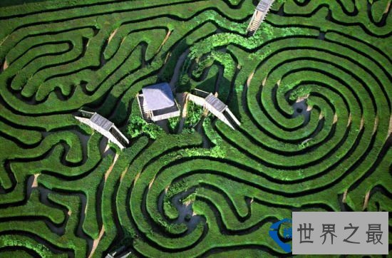 全球十大最梦幻花园迷宫排行榜