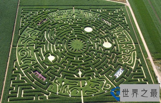 全球十大最梦幻花园迷宫排行榜