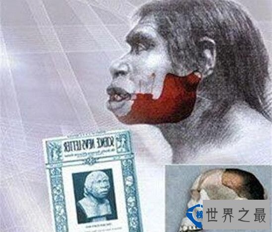 世界上最夸张的考古骗局  揭开斐济美人鱼的真面目