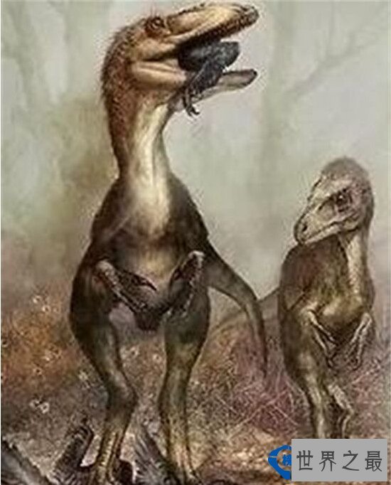 世界上最夸张的考古骗局  揭开斐济美人鱼的真面目