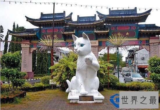 世界上最温情的博物馆，你去过吗？