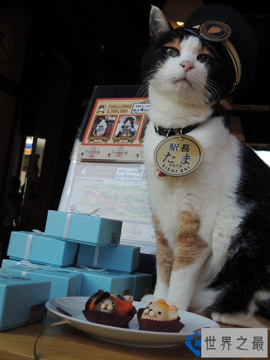 世界之最 盘点日本设计感最强的十个车站