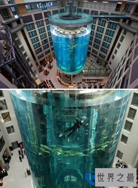 全球最另类的电梯 水族馆电梯可以这样玩