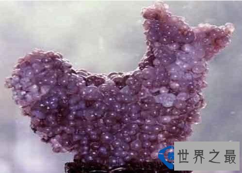 这些石头被称为世界上最怪的石头