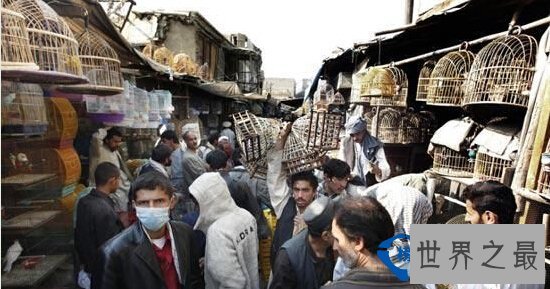 奇葩的跨境集市：世界上最怪异的十大集市