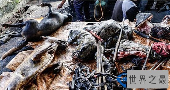 奇葩的跨境集市：世界上最怪异的十大集市