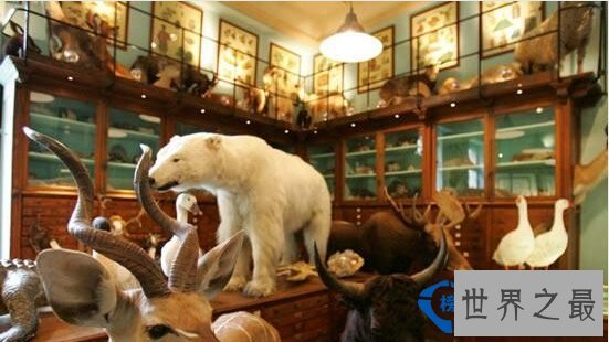 奇葩的跨境集市：世界上最怪异的十大集市