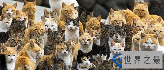 也许你不曾知道？世界上最古怪的小镇