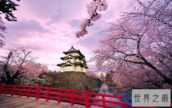 世界上最长寿的国家竟然是日本  日本的人均年龄是多少岁？