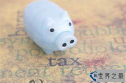 2016全球税率排行榜 中国其实不是最高的