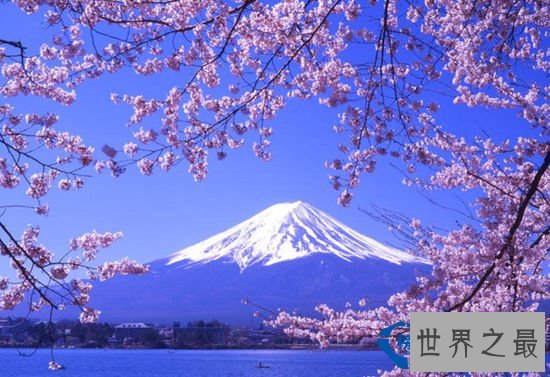 日本：医院不得盈利，社会福利开支占GDP的18.6%。