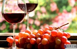 2016十大人均葡萄酒消费最多的国家排行榜