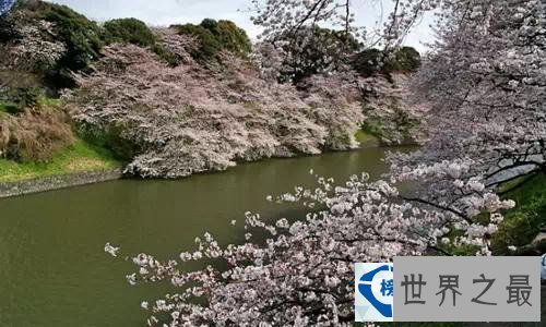 全球最安全的十大国家