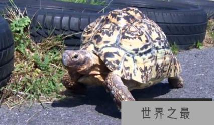 微信截图_20200401111937.png
