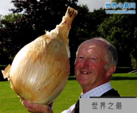 世界上最大的花菜,英国老汉种出54斤花菜(www.1357vip.com)