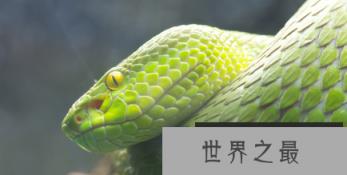 1581587172487119.png 1.png