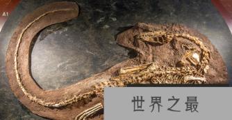 1581587663393909.png 1.png