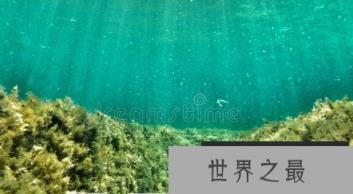 1581053589931771.png 1.png