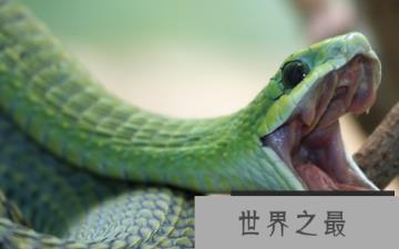 1580884934263489.png 1.png