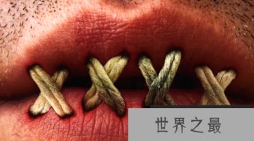 1580624062258827.png 1.png