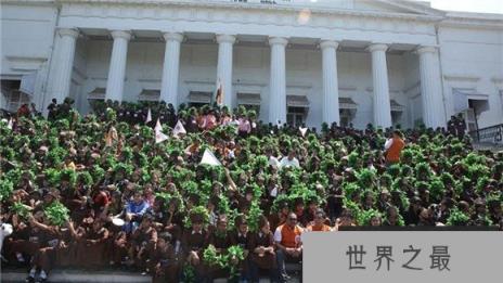 和树有关的吉尼斯世界纪录，最大的树叶长0.5米(www.1357vip.com)