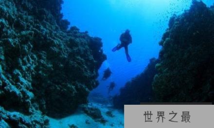 人类潜水最深纪录,深达332米(人类潜水极限)(www.1357vip.com)
