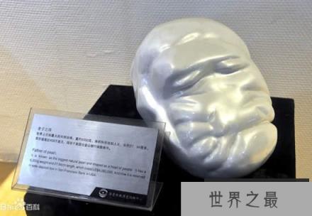 世界上最大的珍珠,老子之珠(如人脑一般大)(www.1357vip.com)