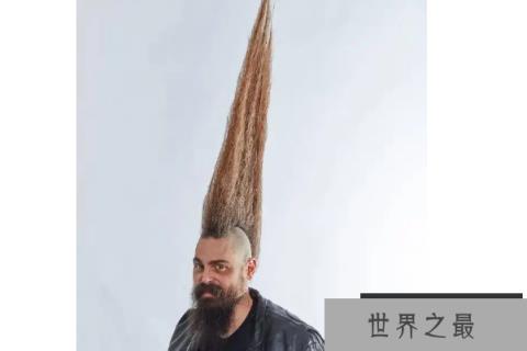 世界最有趣的十大尼斯纪录（1357vip.com）