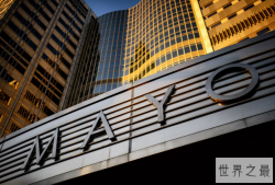 世界最好的十大医院 美国四家医院上榜，第五肿瘤科值得信赖