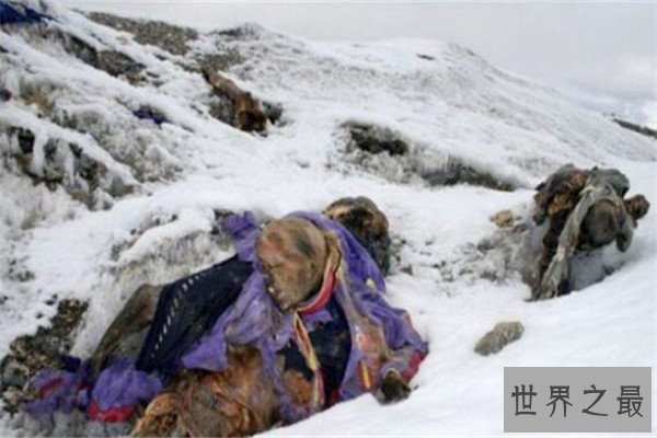 世界登山史上十大山难 第一造成四十人丧生，你都知道哪几件