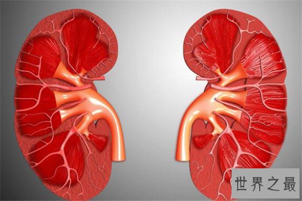 世界十大绝症 早衰基本活不过二十岁，第八高发于老人群体