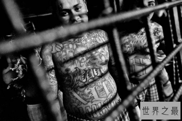 世界最著名的十大黑帮 中国华青帮上榜，黑手党仅列第十