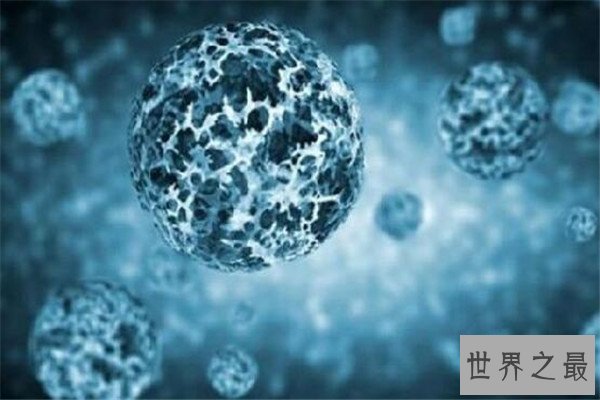世界十大病毒 非典病毒曾引起全球恐慌，第八几乎都知道