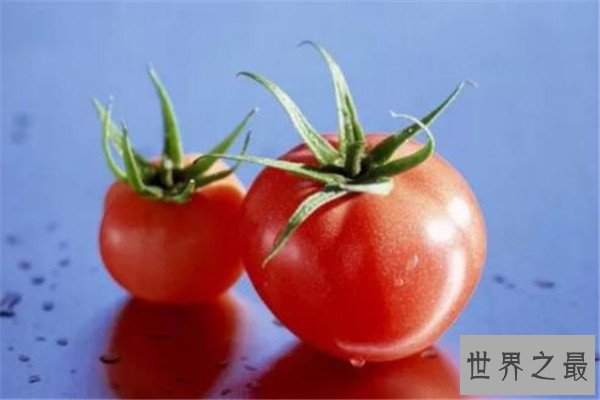 世界十大谎言 活捉外星人深受关注,第一几乎骗过了所有人