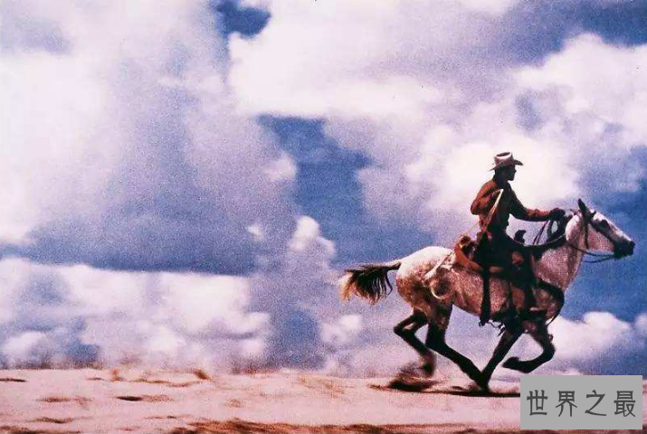 世界十大经典摄影作品 个个价值连城,莱茵河2号位列第一