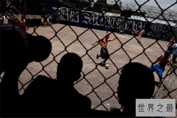 世界十大黑帮 Crips和血腥团伙是死对头