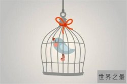 世界最著名十大心理学效应 木桶定律你了解吗