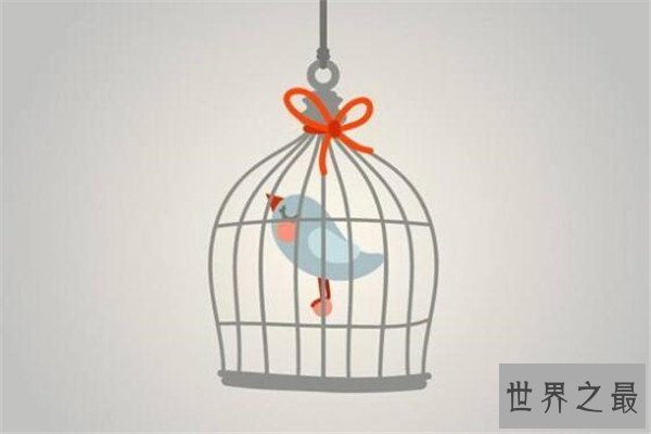 世界最著名十大心理学效应 木桶定律你了解吗