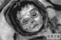 世界最神秘的十大儿童木乃伊 印加儿童是神灵的牺牲品