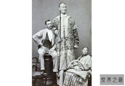 世界最十大最高的人 清朝商人詹世钗排第一，身高3.19米