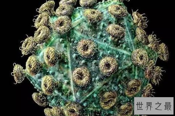 全球十大病毒排行榜