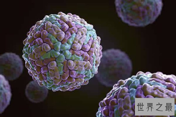 全球十大病毒排行榜