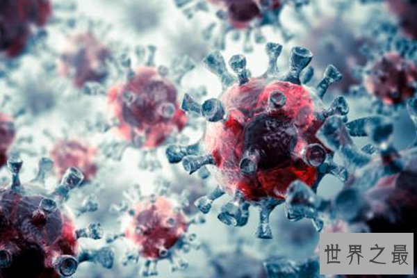 全球十大病毒排行榜