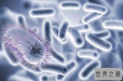 全球十大病毒排行榜：SARS上榜 全球十大致命病毒排名