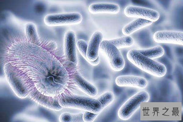 全球十大病毒排行榜