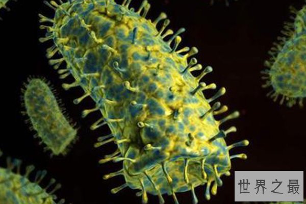 全球十大病毒排行榜