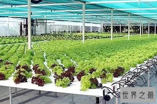 最不起眼的十大冷门行业